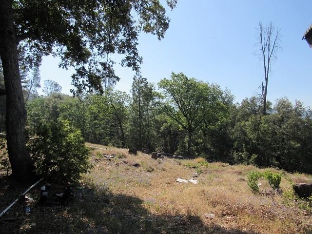 28472 Italian Bar Road Twain Harte, CA 95383 - Photo 2 of 10 a view of a yard covered in snow