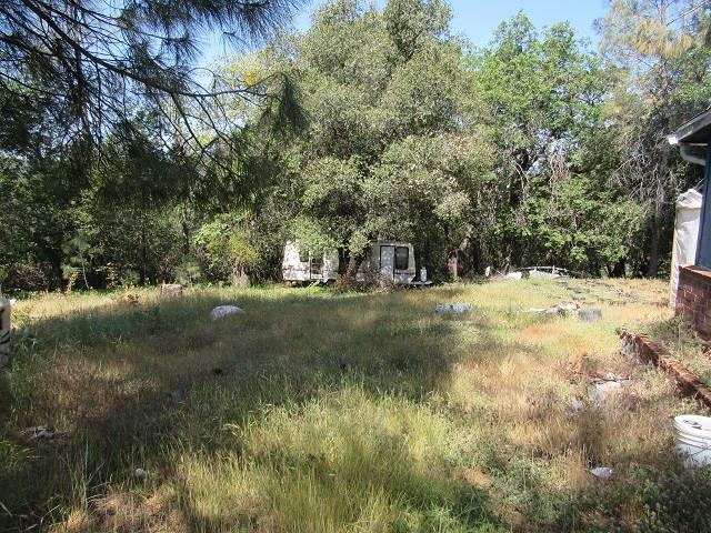 28472 Italian Bar Road Twain Harte, CA 95383 - Photo 6 of 10 a view of yard covered with green space