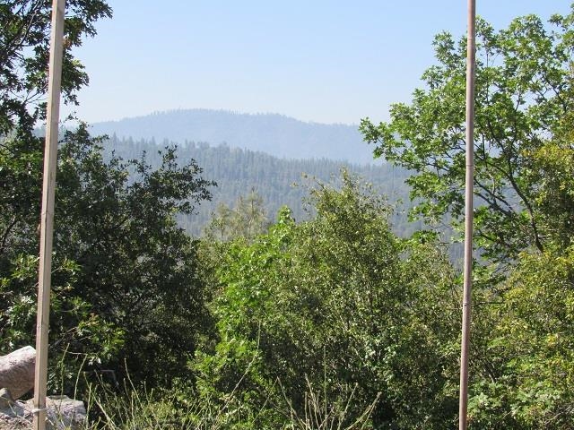 28472 Italian Bar Road Twain Harte, CA 95383 - Photo 10 of 10