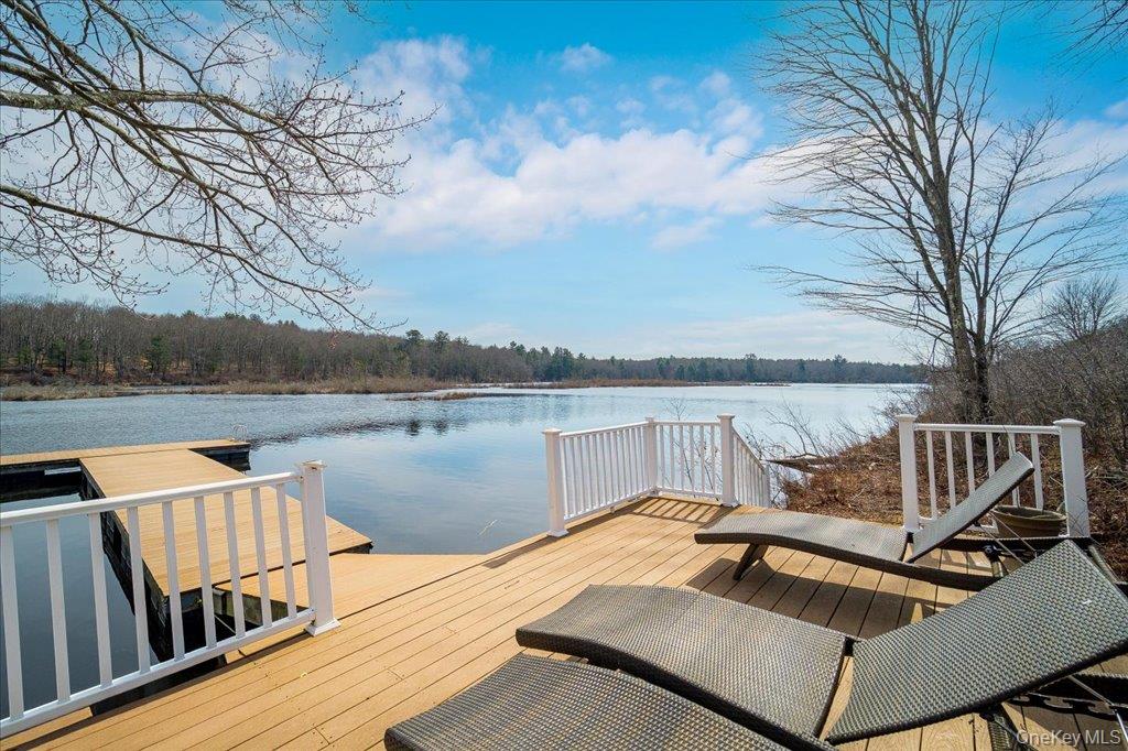 363 Hurd Road, Unit TR48 Bethel, NY 12783 - Photo 28 of 43