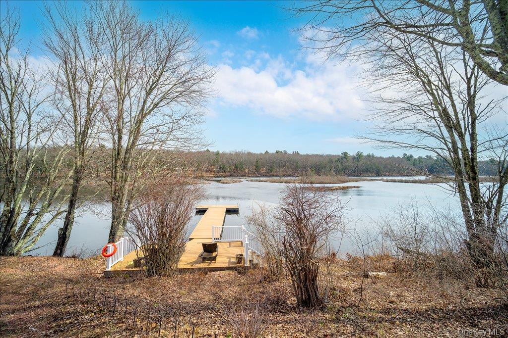 363 Hurd Road, Unit TR48 Bethel, NY 12783 - Photo 38 of 43