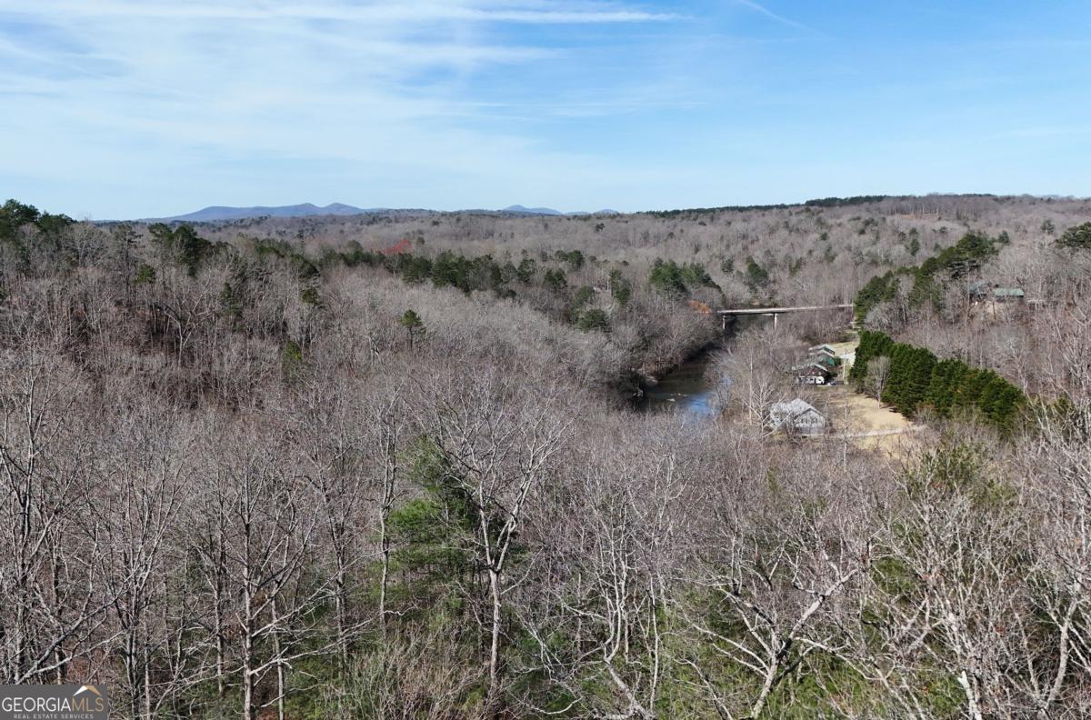 Lot #8 Casa Rio Drive, Unit 8 Cornelia, GA 30531 - Photo 14 of 46 an aerial view of green landscape with trees