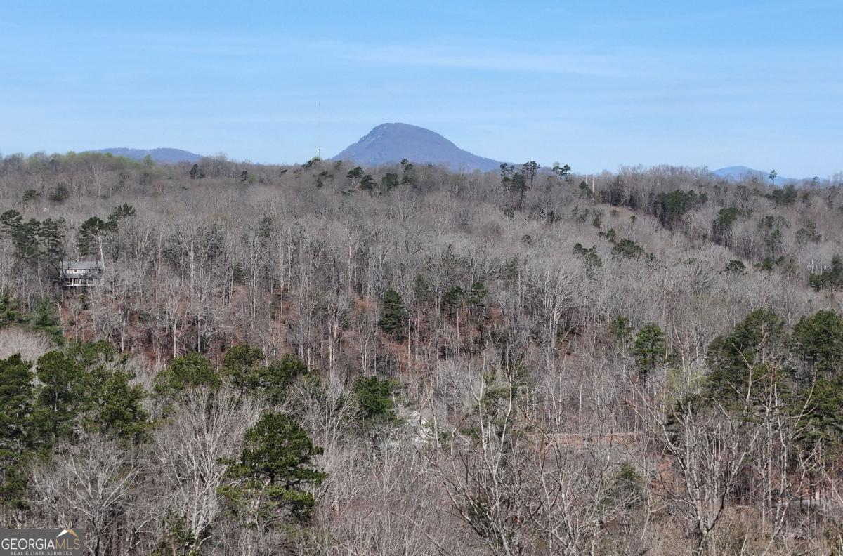 Lot #8 Casa Rio Drive, Unit 8 Cornelia, GA 30531 - Photo 16 of 46 a view of mountains in the distance