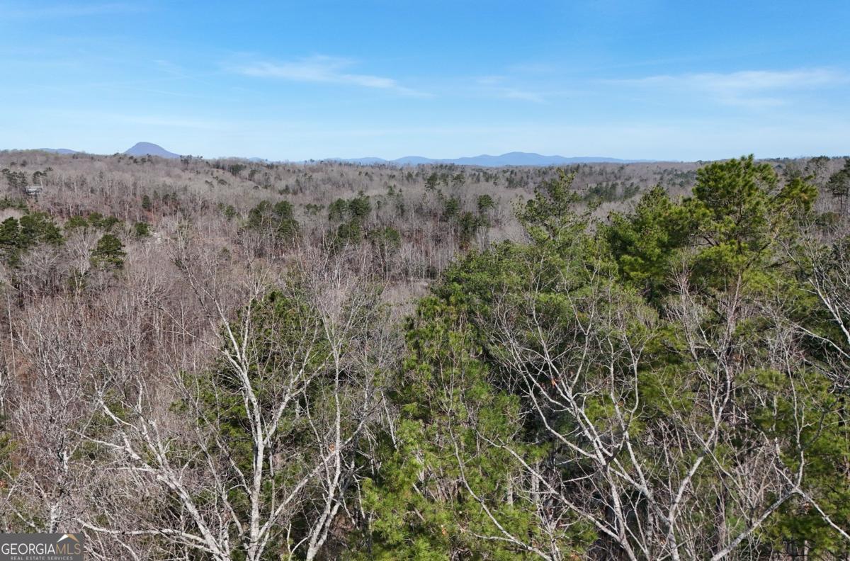Lot #8 Casa Rio Drive, Unit 8 Cornelia, GA 30531 - Photo 17 of 46 an aerial view of houses covered in trees