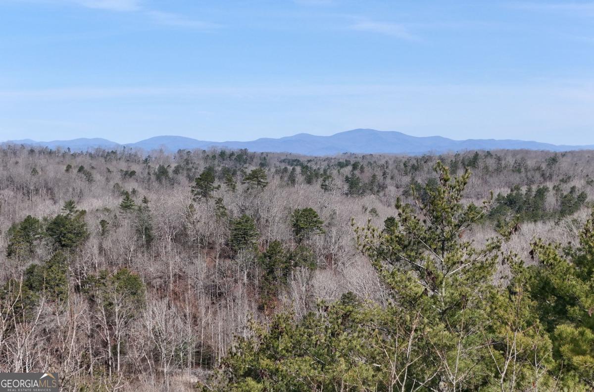 Lot #8 Casa Rio Drive, Unit 8 Cornelia, GA 30531 - Photo 18 of 46 a view of a lush green forest with mountains in the background