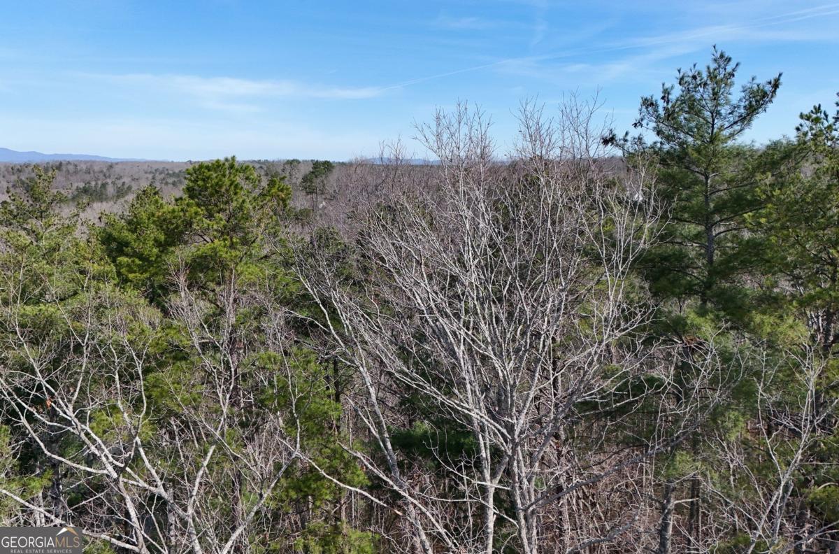Lot #8 Casa Rio Drive, Unit 8 Cornelia, GA 30531 - Photo 19 of 46 a view of a building