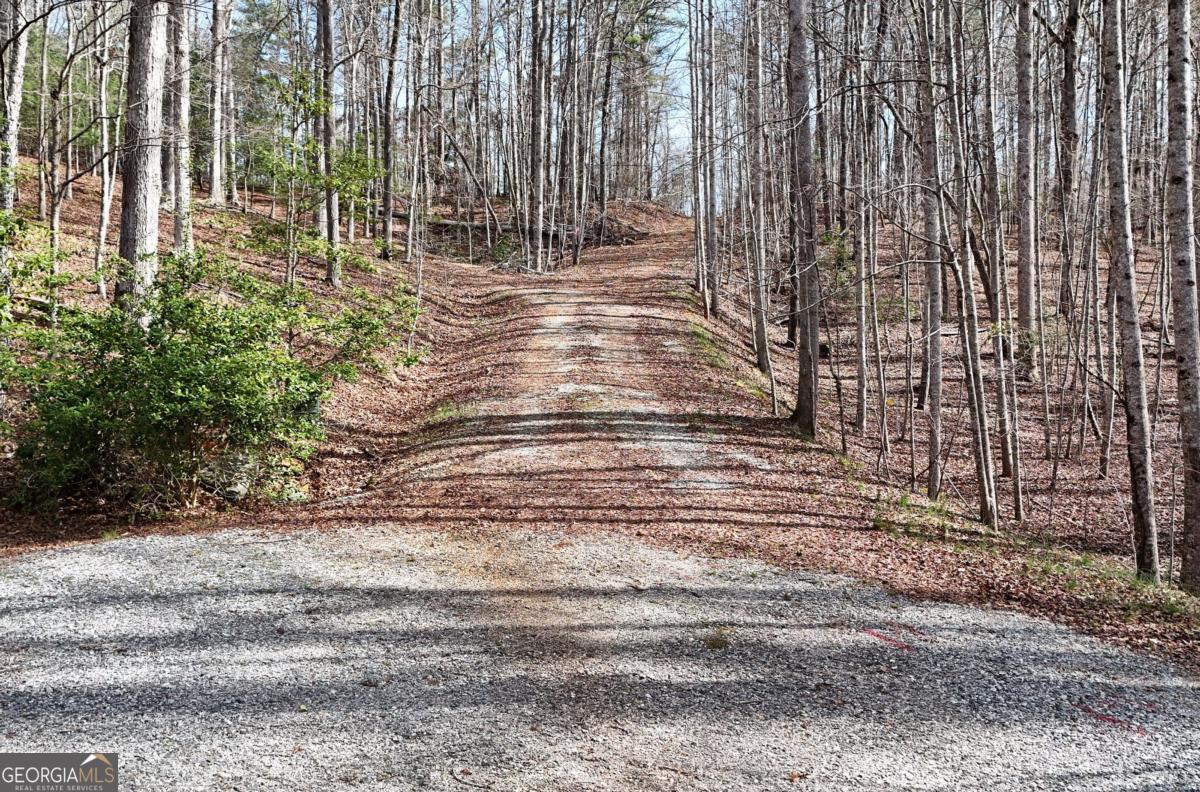 Lot #8 Casa Rio Drive, Unit 8 Cornelia, GA 30531 - Photo 2 of 46 a view of outdoor space with deck and trees