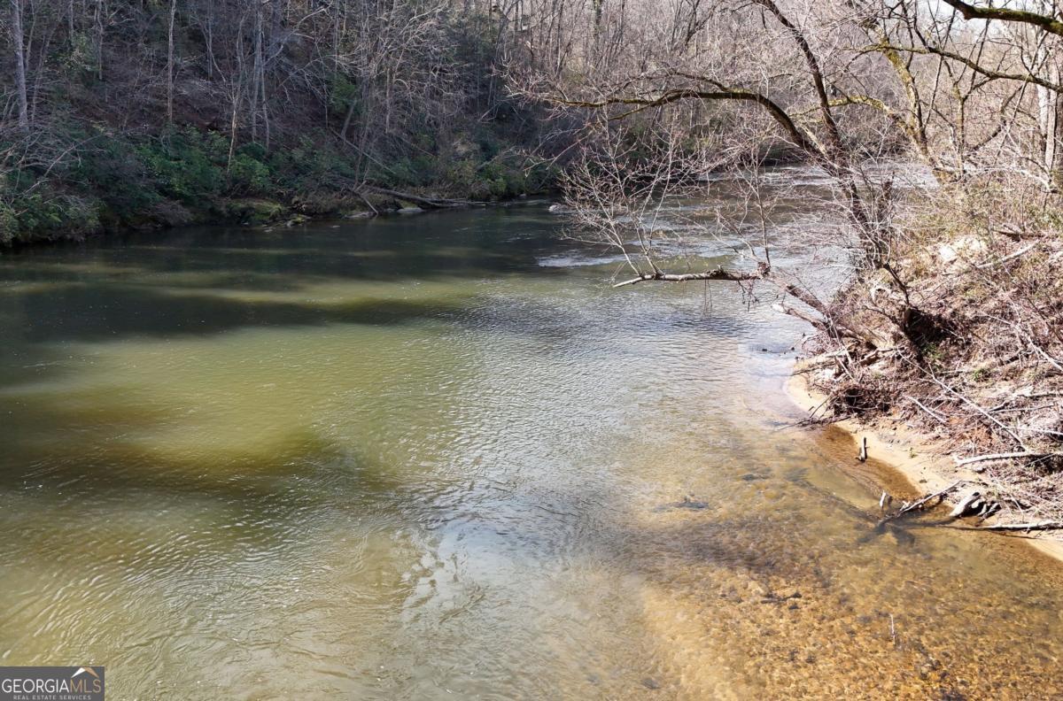 Lot #8 Casa Rio Drive, Unit 8 Cornelia, GA 30531 - Photo 23 of 46 a view of a yard with a tree