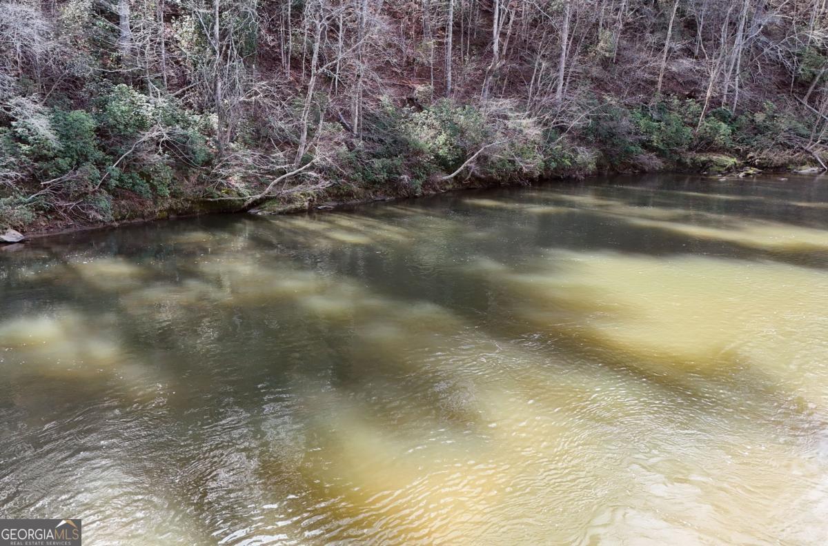 Lot #8 Casa Rio Drive, Unit 8 Cornelia, GA 30531 - Photo 24 of 46