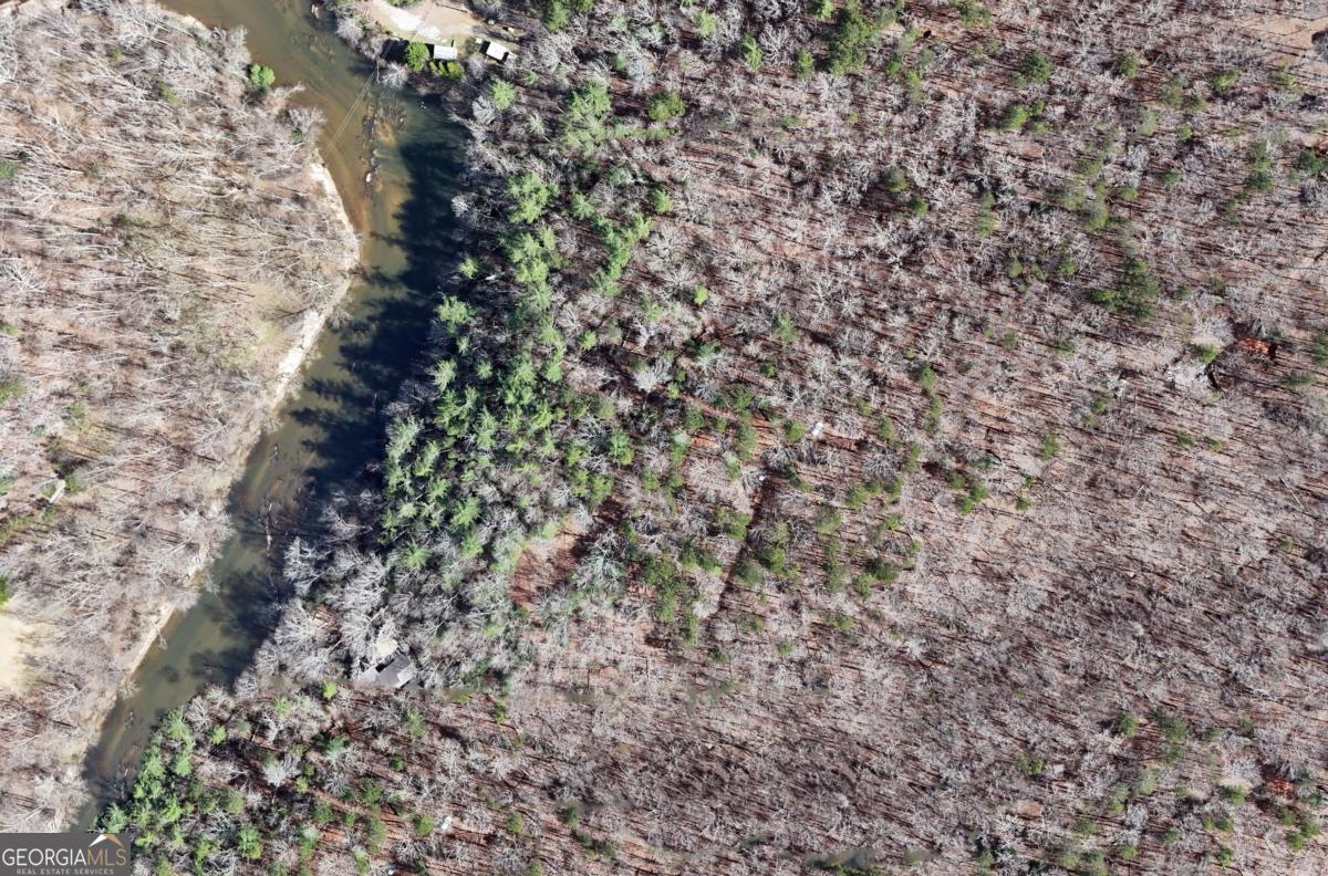 Lot #8 Casa Rio Drive, Unit 8 Cornelia, GA 30531 - Photo 30 of 46 a close up of a plant