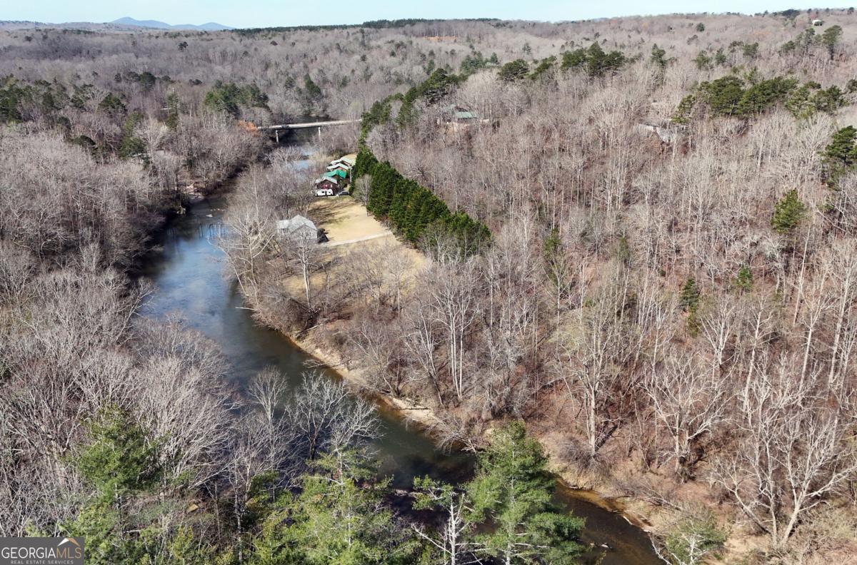 Lot #8 Casa Rio Drive, Unit 8 Cornelia, GA 30531 - Photo 3 of 46 a view of a forest with a dry yard
