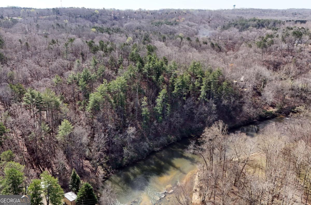 Lot #8 Casa Rio Drive, Unit 8 Cornelia, GA 30531 - Photo 43 of 46 a view of a forest with trees in the background