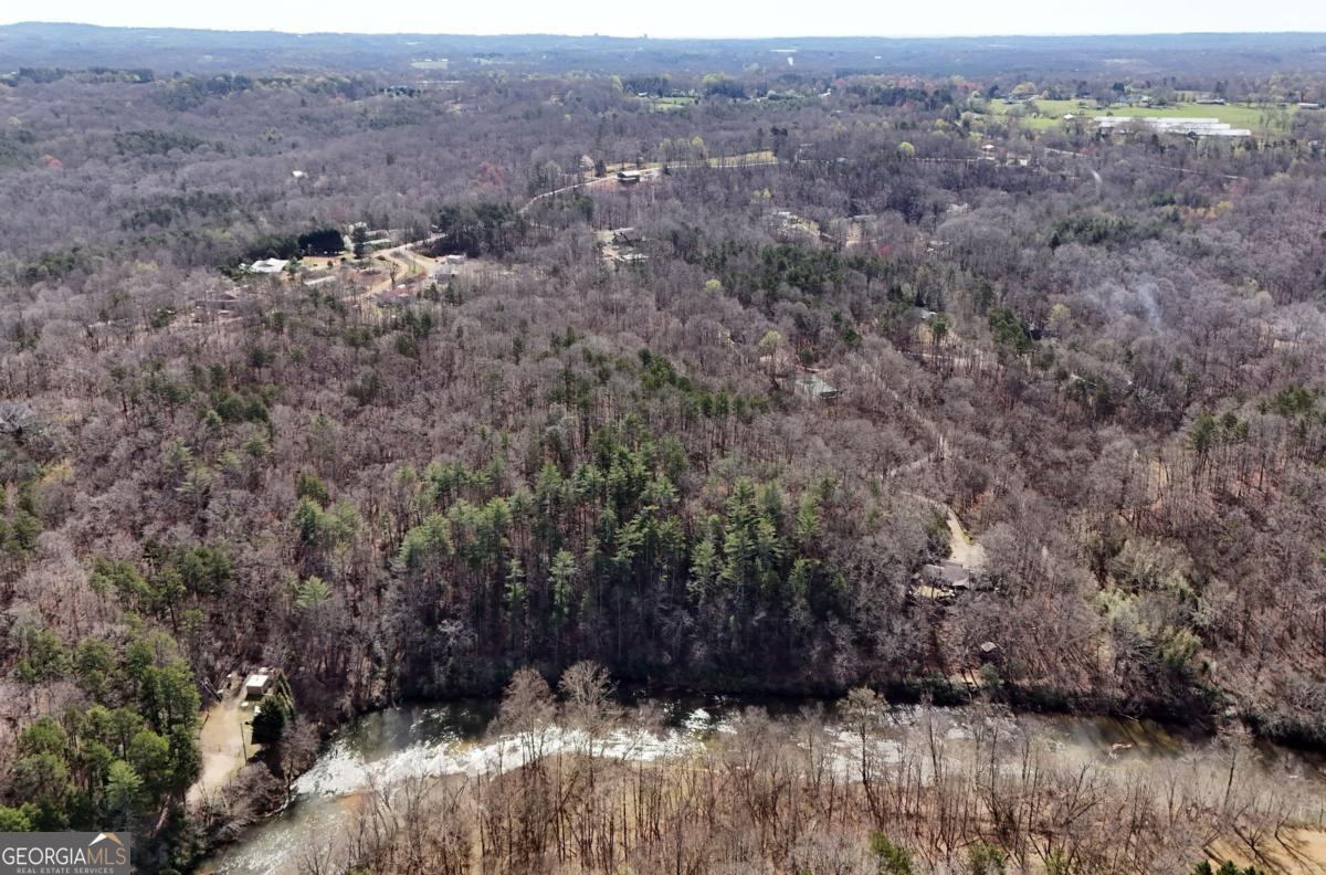 Lot #8 Casa Rio Drive, Unit 8 Cornelia, GA 30531 - Photo 44 of 46 a view of a dry yard with trees