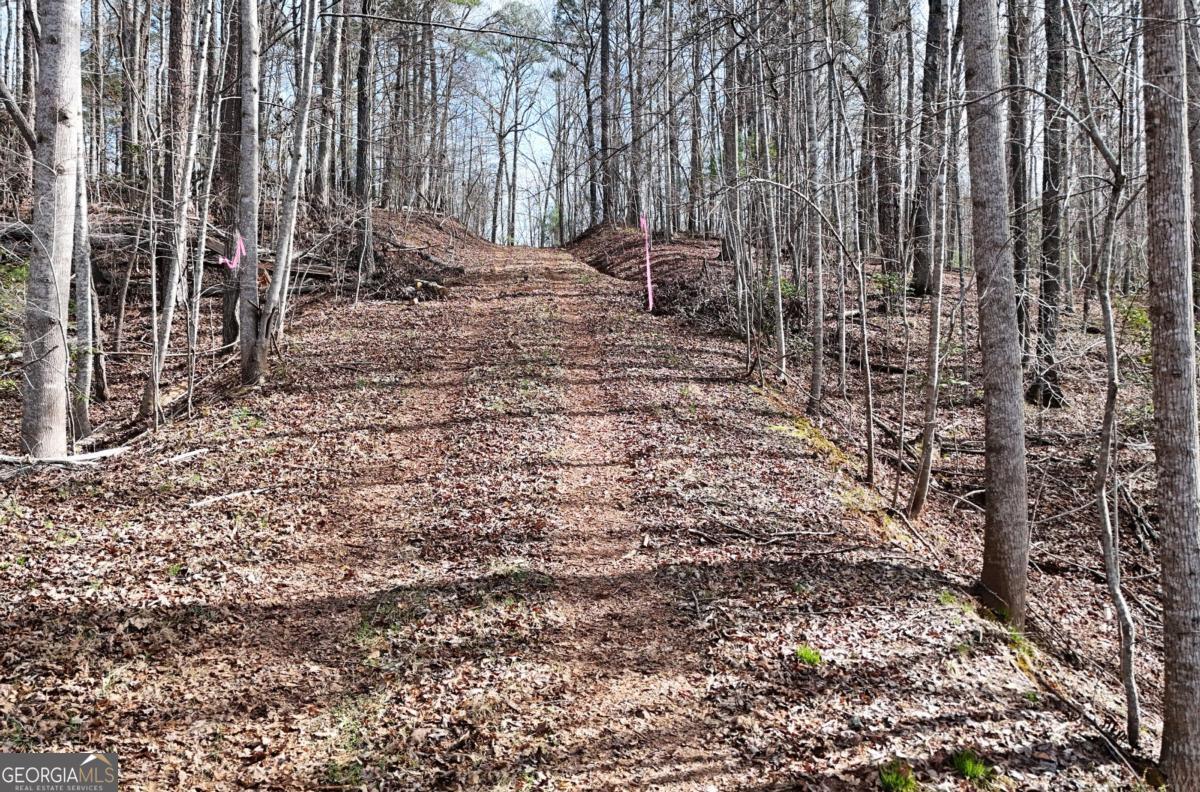 Lot #8 Casa Rio Drive, Unit 8 Cornelia, GA 30531 - Photo 5 of 46 a view of a back yard