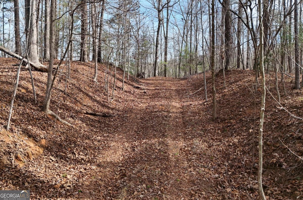 Lot #8 Casa Rio Drive, Unit 8 Cornelia, GA 30531 - Photo 6 of 46 a view of backyard with green space