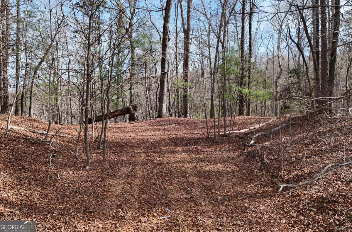 Lot #8 Casa Rio Drive, Unit 8 Cornelia, GA 30531 - Photo 7 of 46 a view of outdoor space with trees