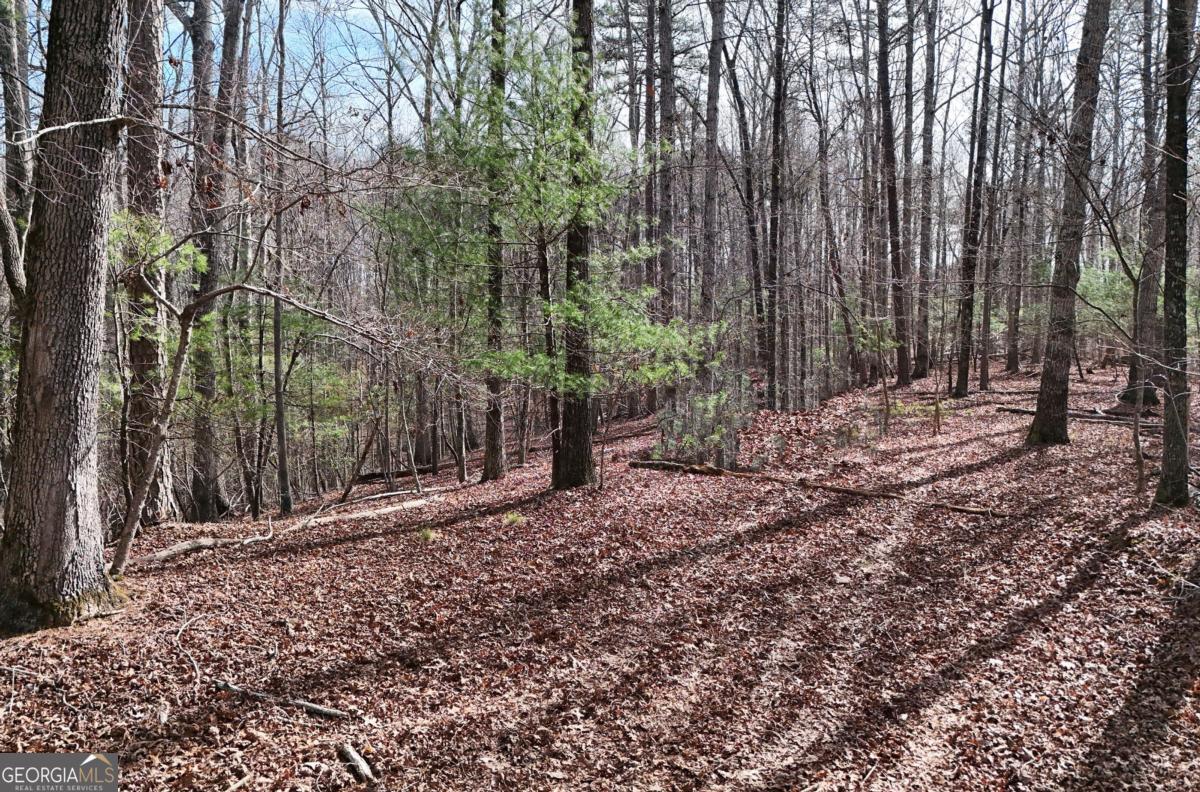 Lot #8 Casa Rio Drive, Unit 8 Cornelia, GA 30531 - Photo 8 of 46 a backyard of a house with lots of green space