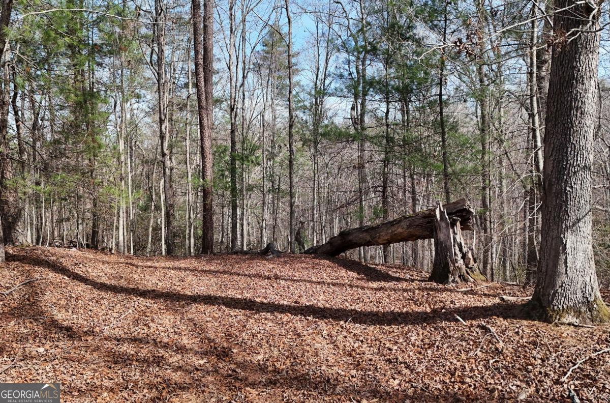 Lot #8 Casa Rio Drive, Unit 8 Cornelia, GA 30531 - Photo 9 of 46 a view of a backyard with large trees