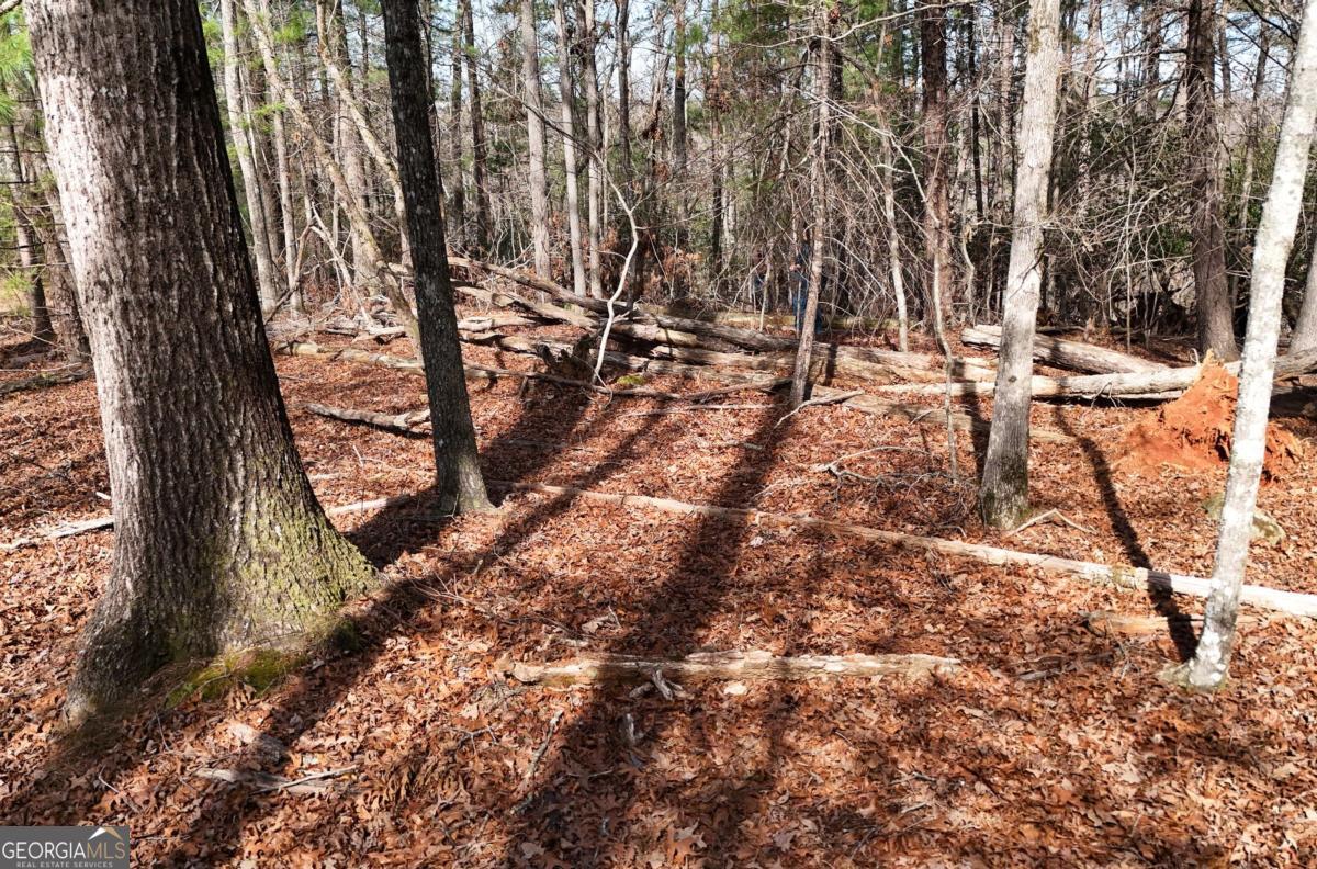 Lot #8 Casa Rio Drive, Unit 8 Cornelia, GA 30531 - Photo 10 of 46 a view of outdoor space with seating