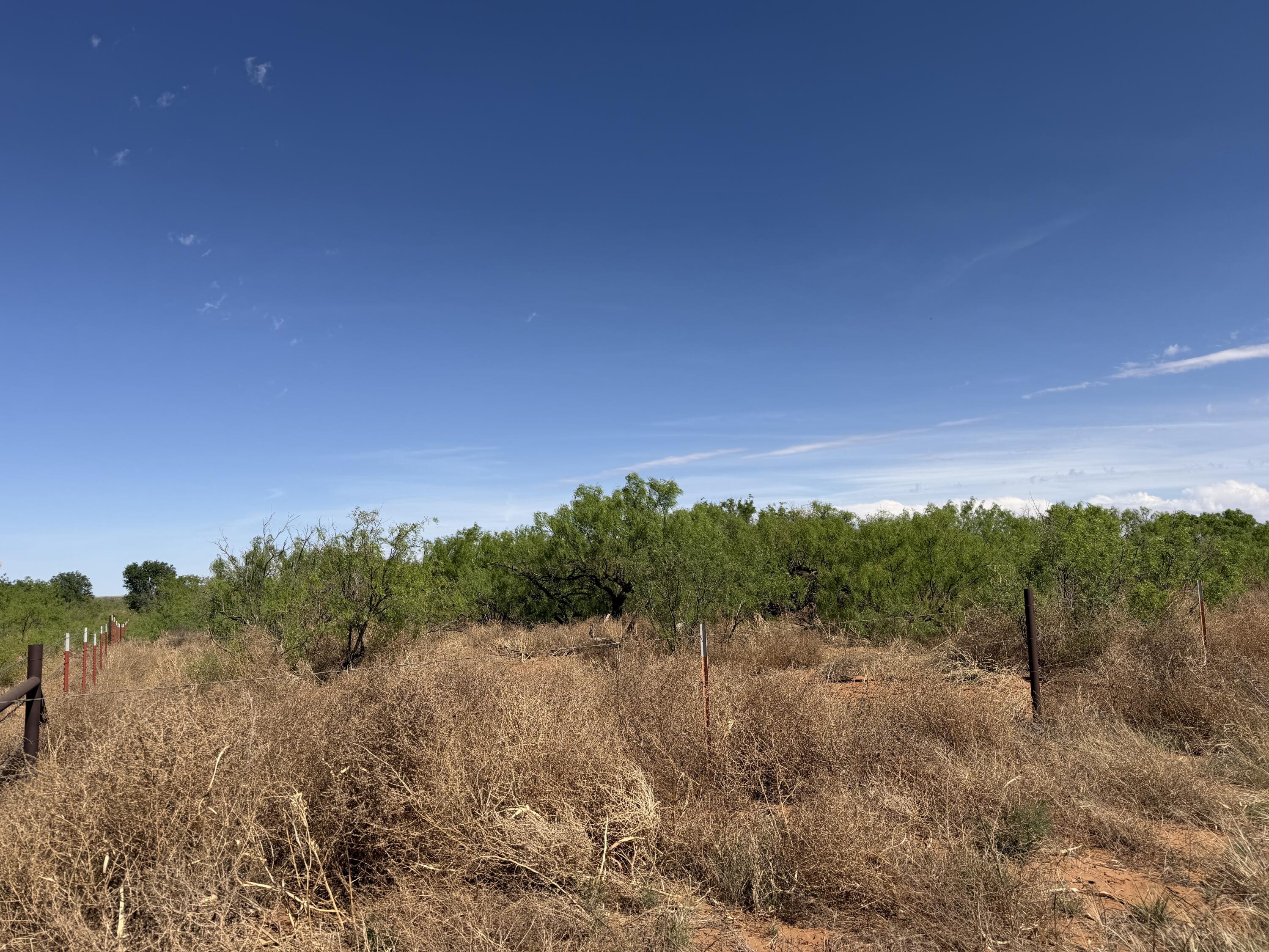 1091 County Rd O Lamesa, TX 79331 - Photo 2 of 4 IMG_5630