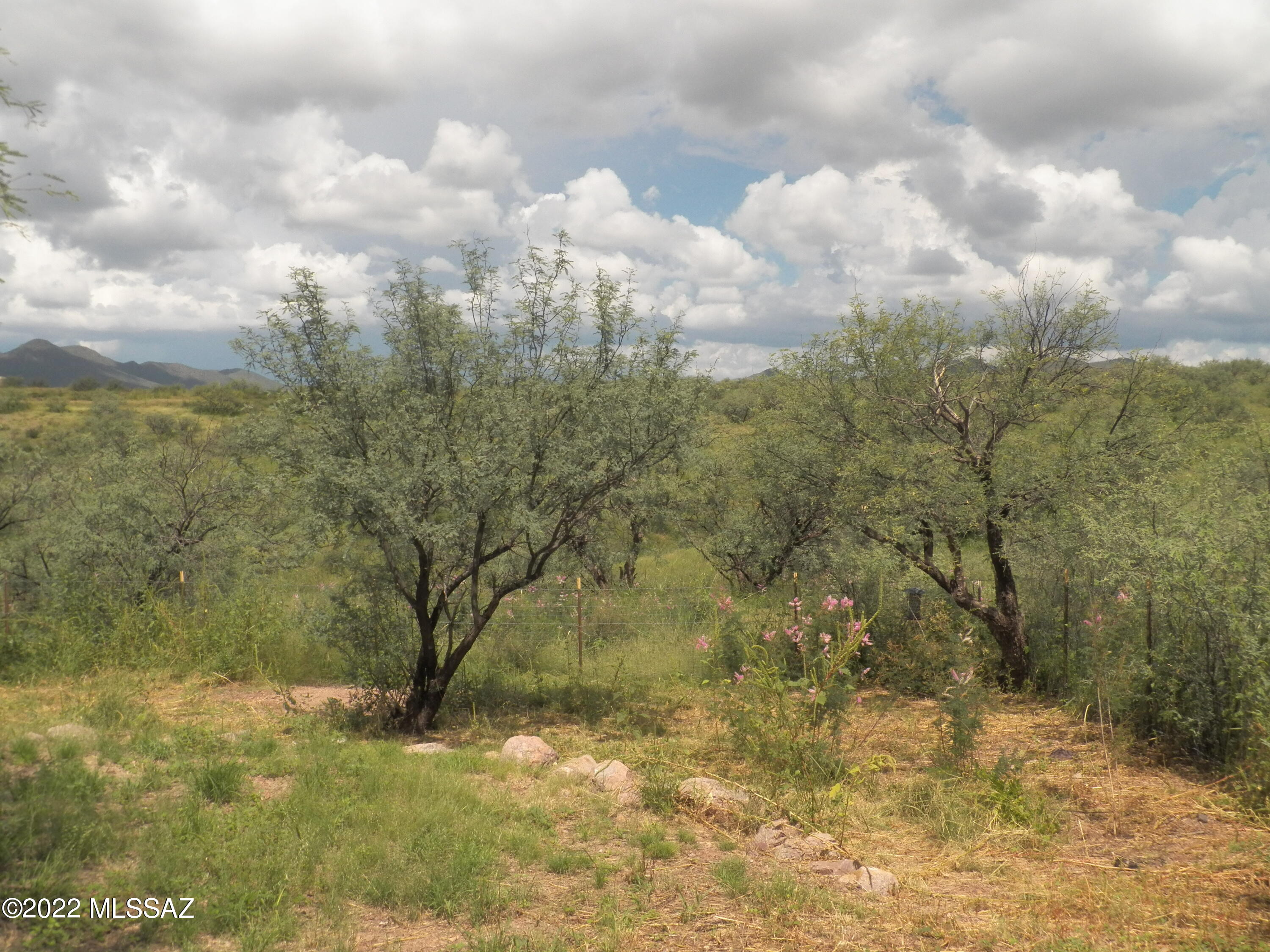37750 South Ruby Road Arivaca, AZ 85601 - Photo 29 of 32