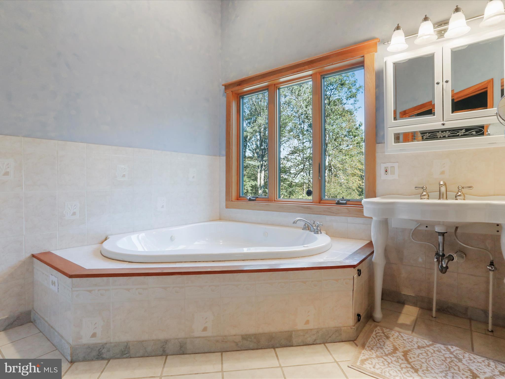 1580 Gaither Road Great Cacapon, WV 25422 - Photo 26 of 65 a bath tub sitting in a bathroom next to a window