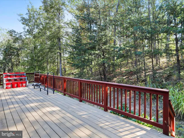 a view of a field with trees in the background