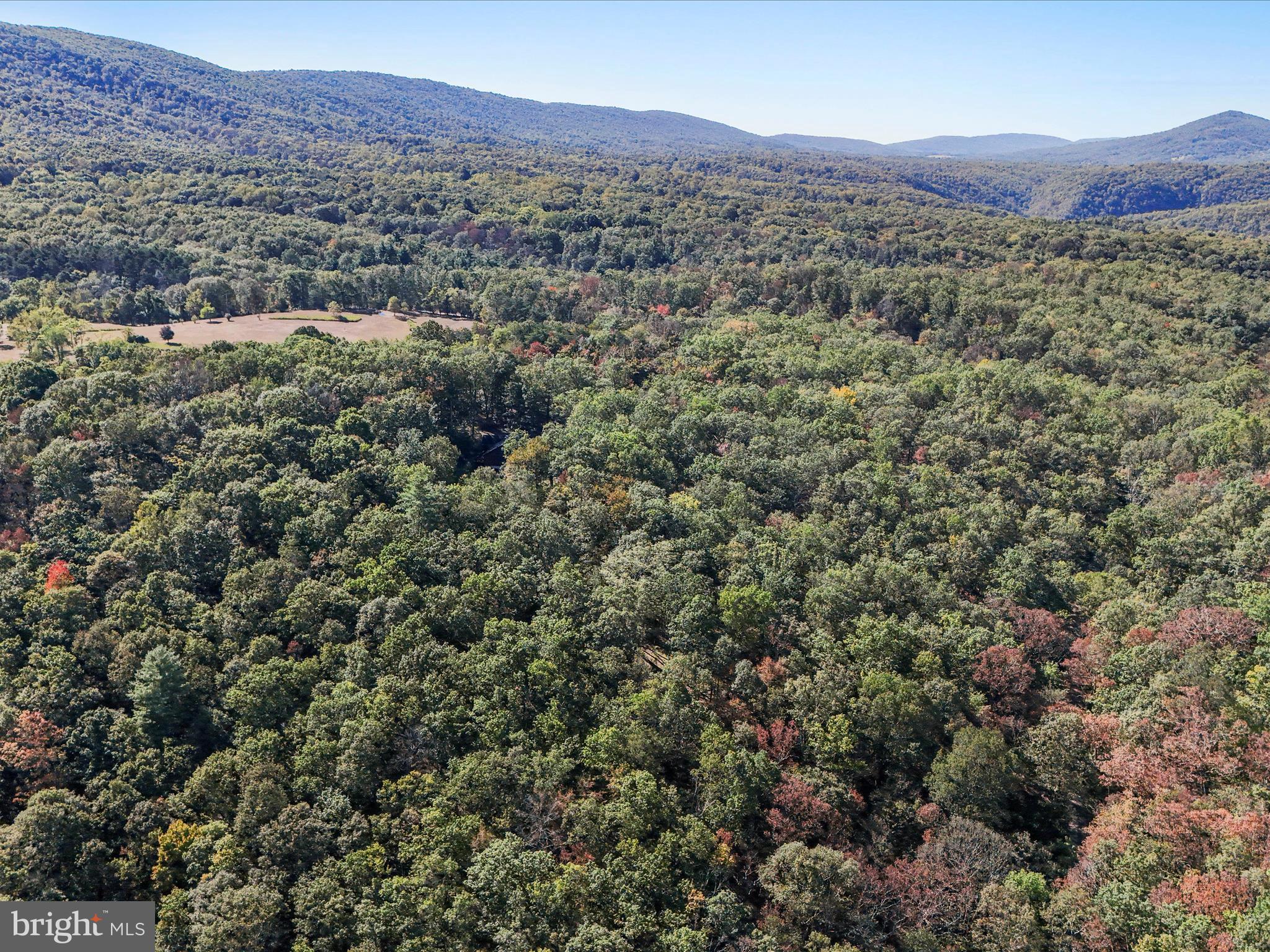 1580 Gaither Road Great Cacapon, WV 25422 - Photo 58 of 65 a view of a lush green hillside and a houses