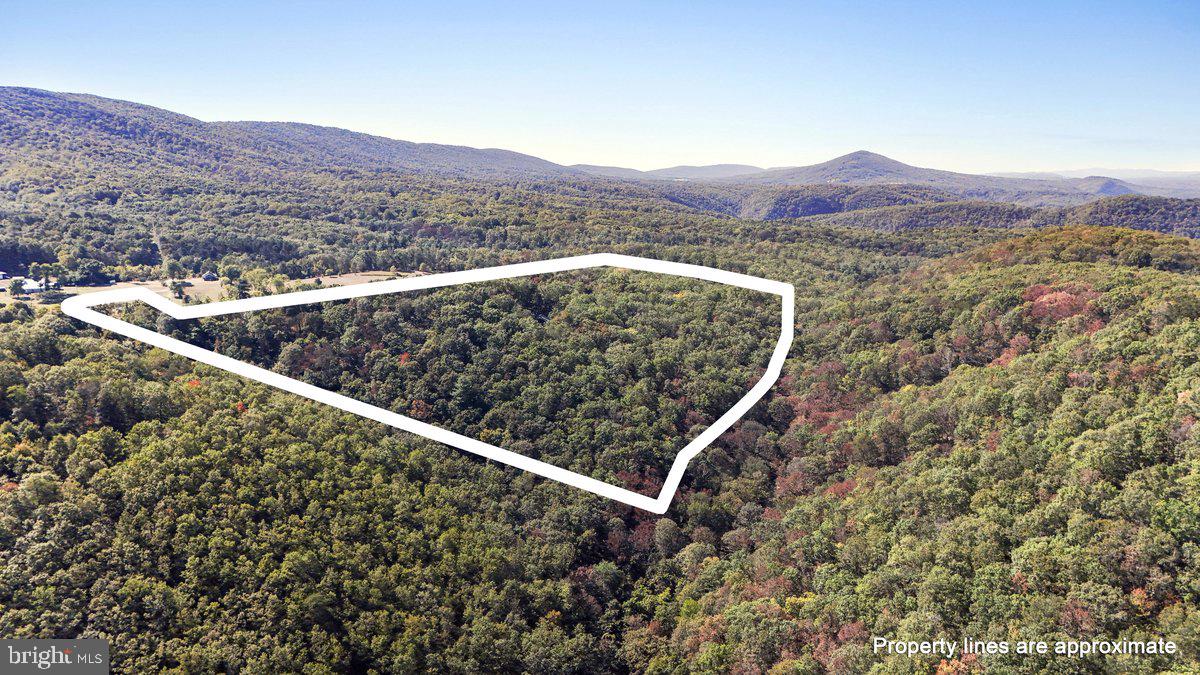 1580 Gaither Road Great Cacapon, WV 25422 - Photo 60 of 65 a view of a mountain from a balcony