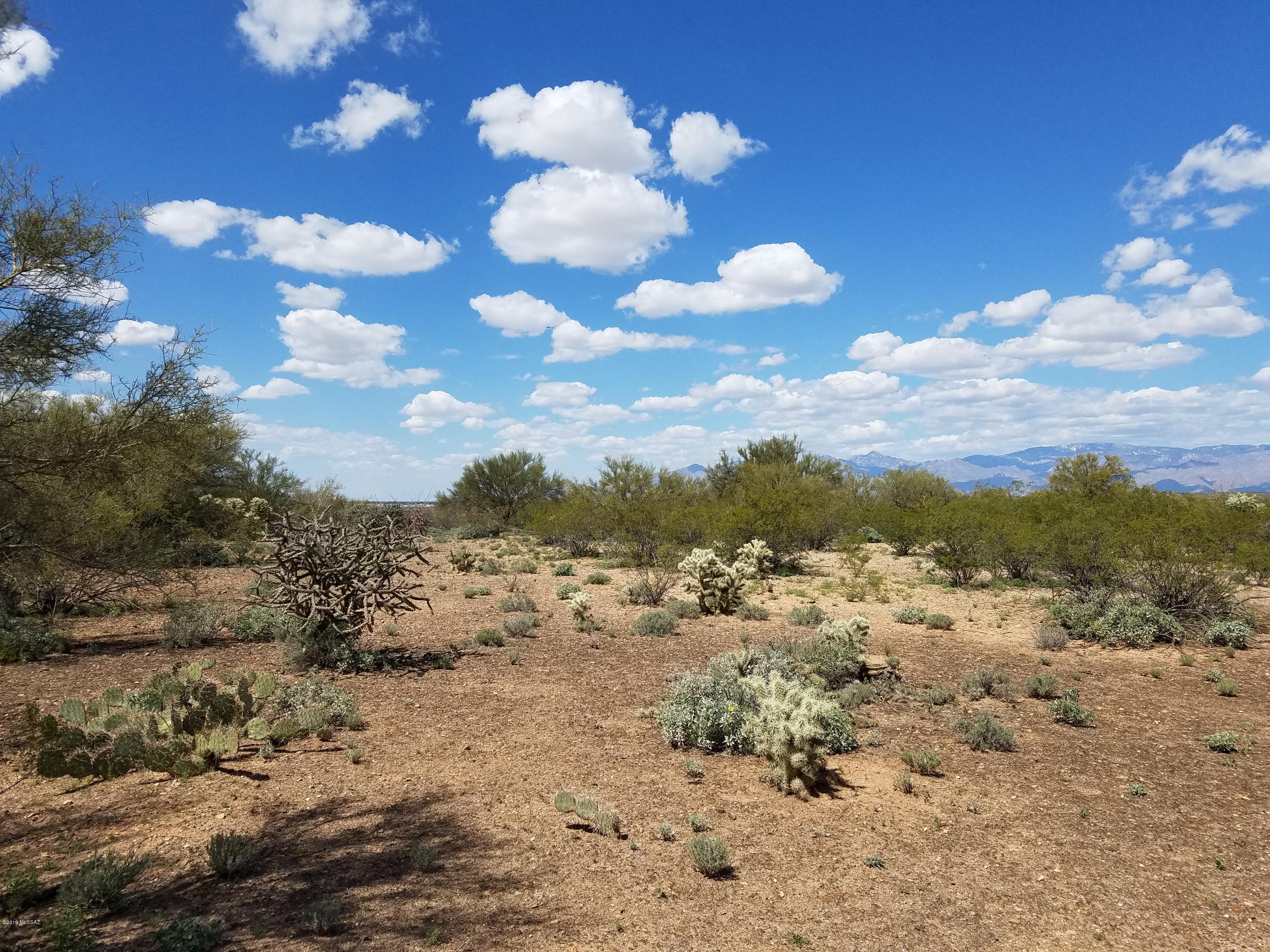 East Los Reales Road, Unit 82 Tucson, AZ 85747 - Photo 23 of 36