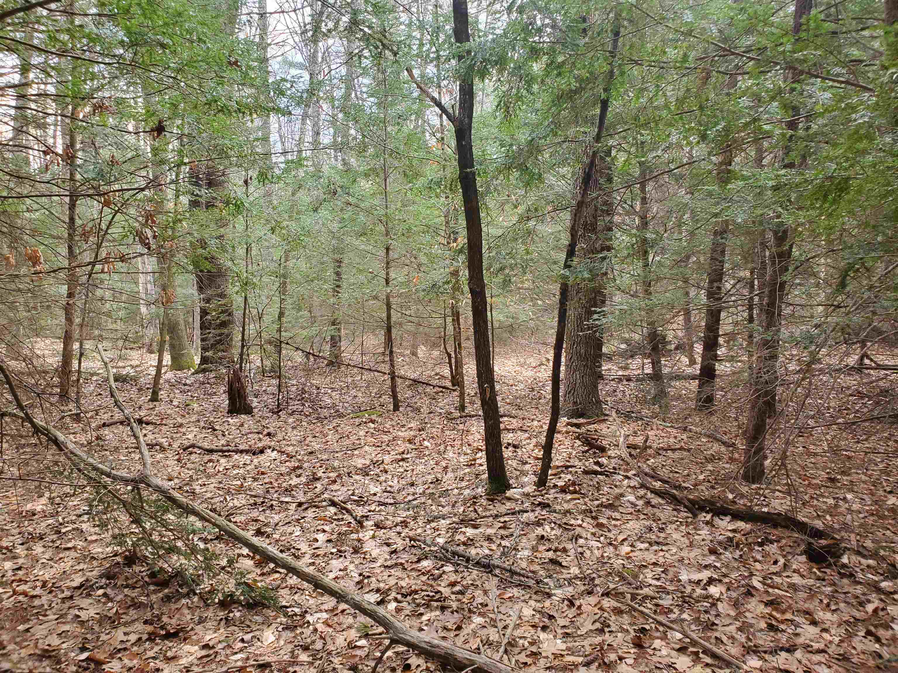 Tbd Taft Way Raymond, NH 03077 - Photo 2 of 7