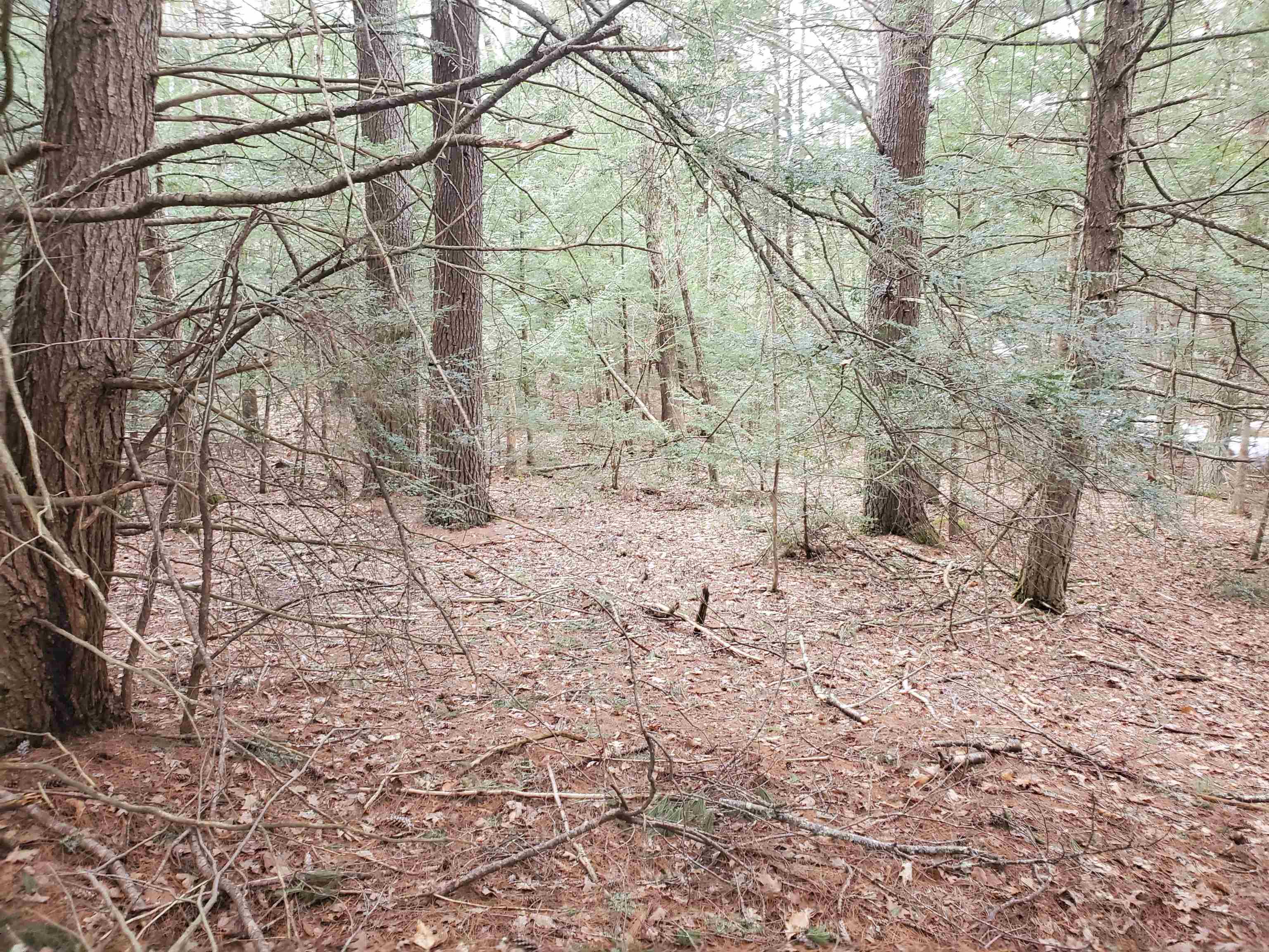 Tbd Taft Way Raymond, NH 03077 - Photo 3 of 7