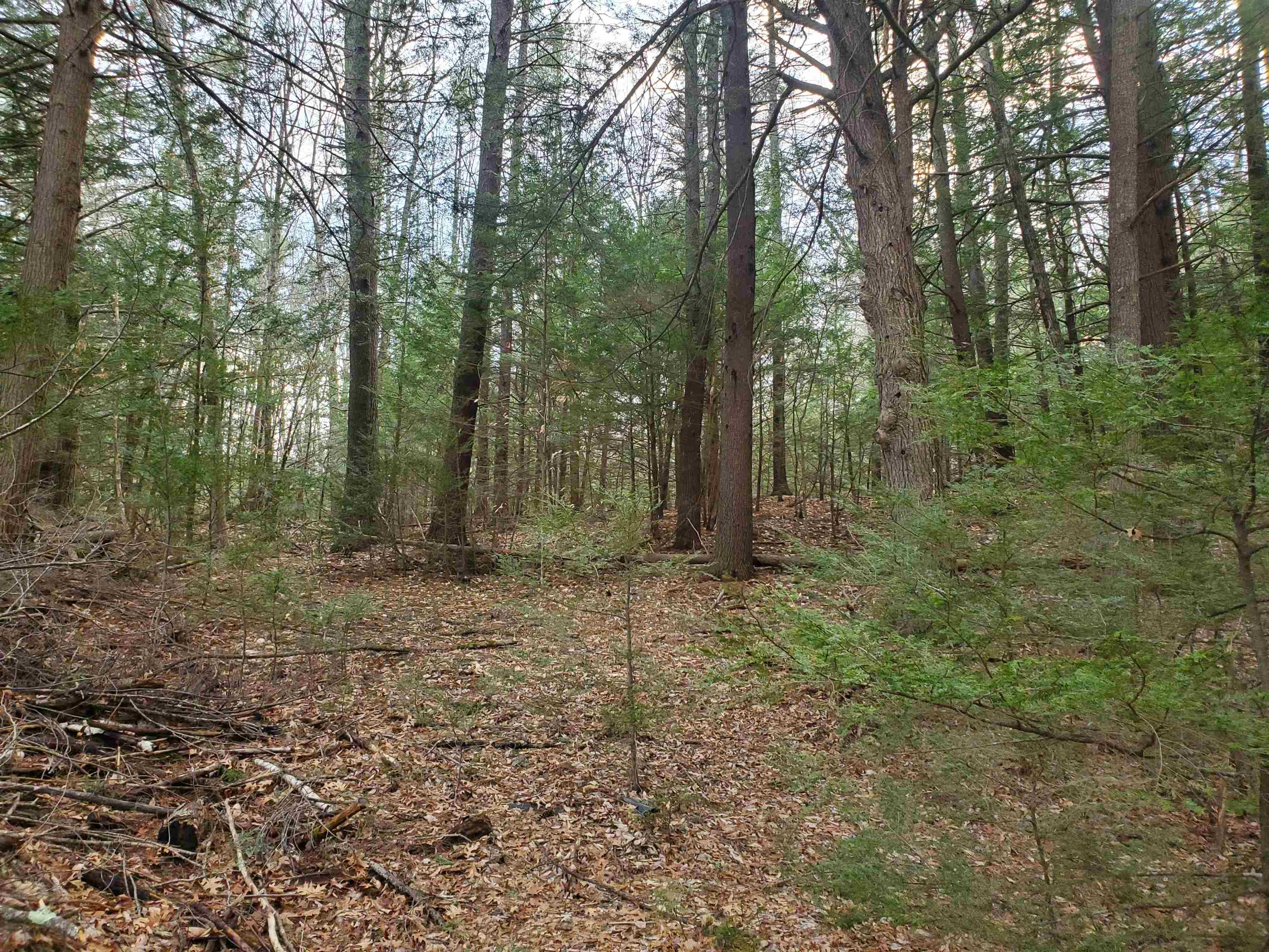 Tbd Taft Way Raymond, NH 03077 - Photo 6 of 7