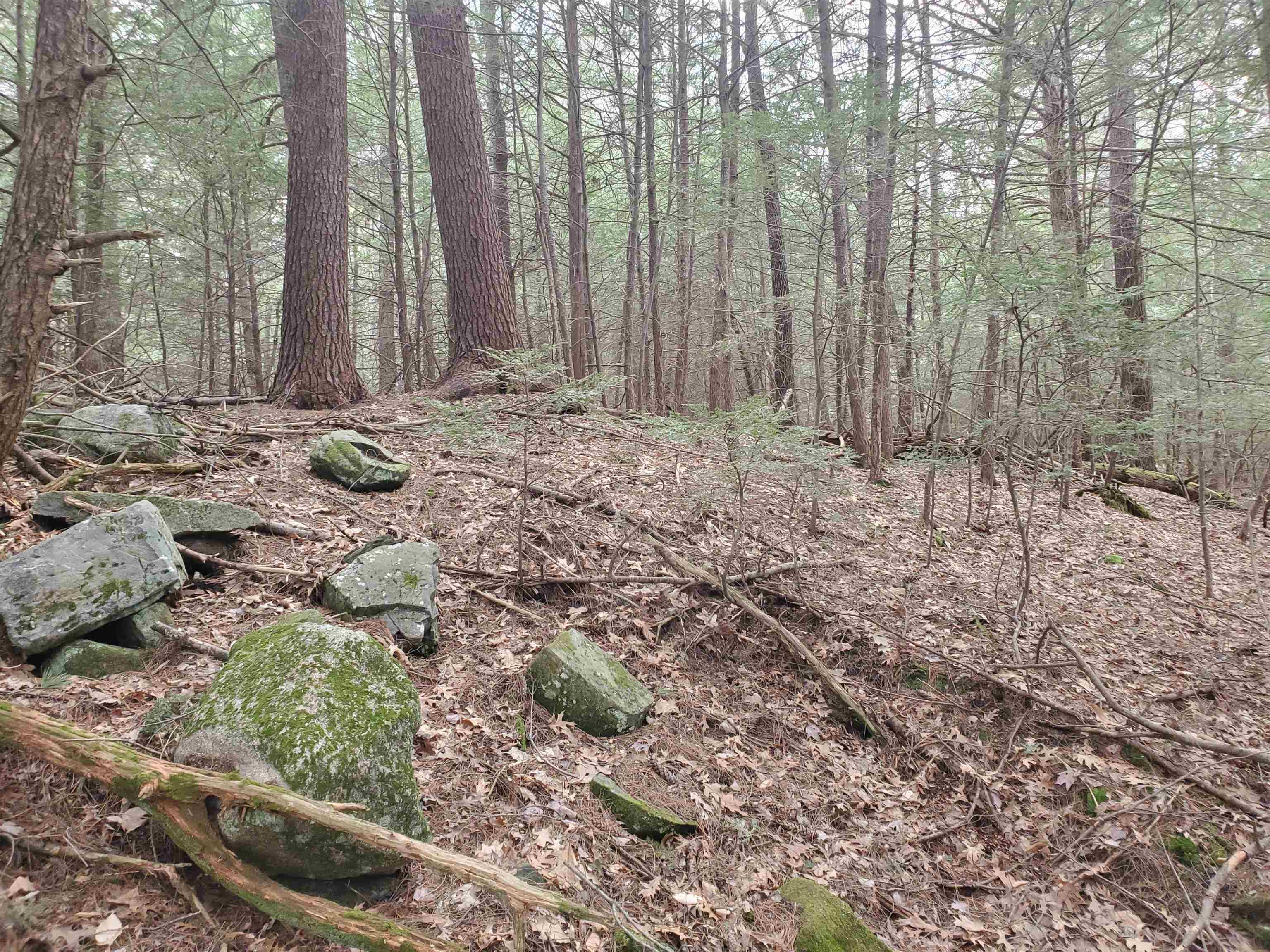 Tbd Taft Way Raymond, NH 03077 - Photo 7 of 7