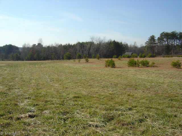 Lot 1 Lowe Road Madison, NC 27025 - Photo 3 of 9 Other.