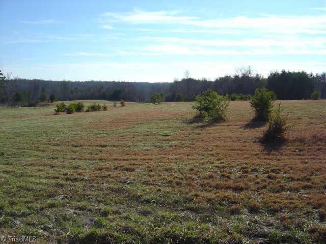 Lot 1 Lowe Road Madison, NC 27025 - Photo 6 of 9 Other.