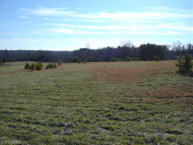 Lot 1 Lowe Road Madison, NC 27025 - Photo 8 of 9 Other.