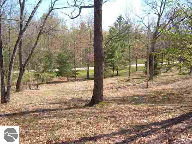 3306 Shady Shores Road Lupton, MI 48635 - Photo 8 of 25 1756265-7.JPG