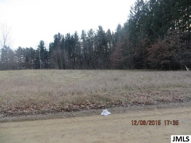 0 Blue Ridge Road Clarklake, MI 49234 - Photo 3 of 6 Photo 3