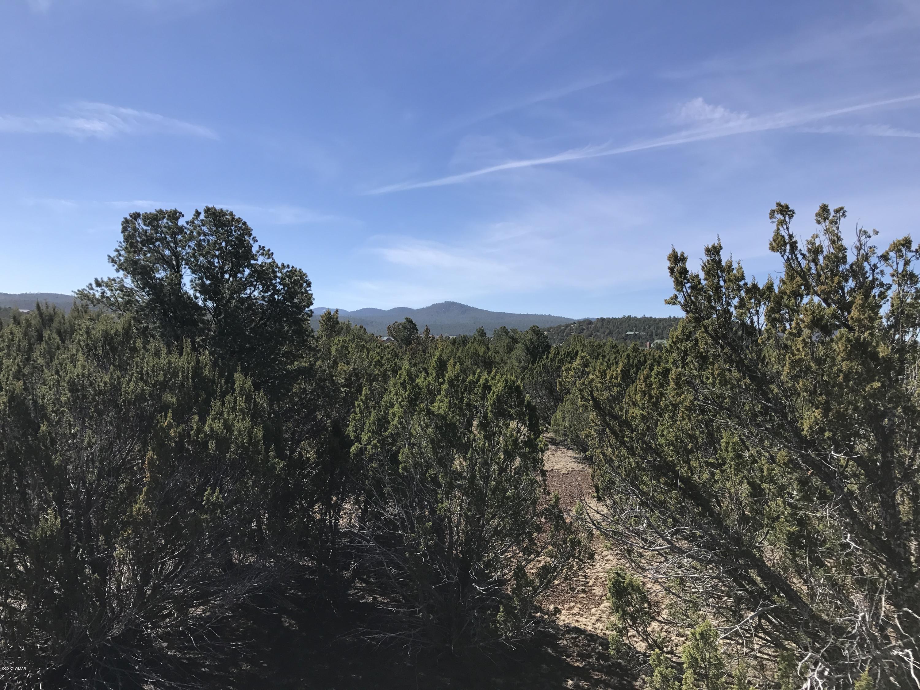 Lot 4 Elk Ridge Show Low, AZ 85901 - Photo 1 of 6