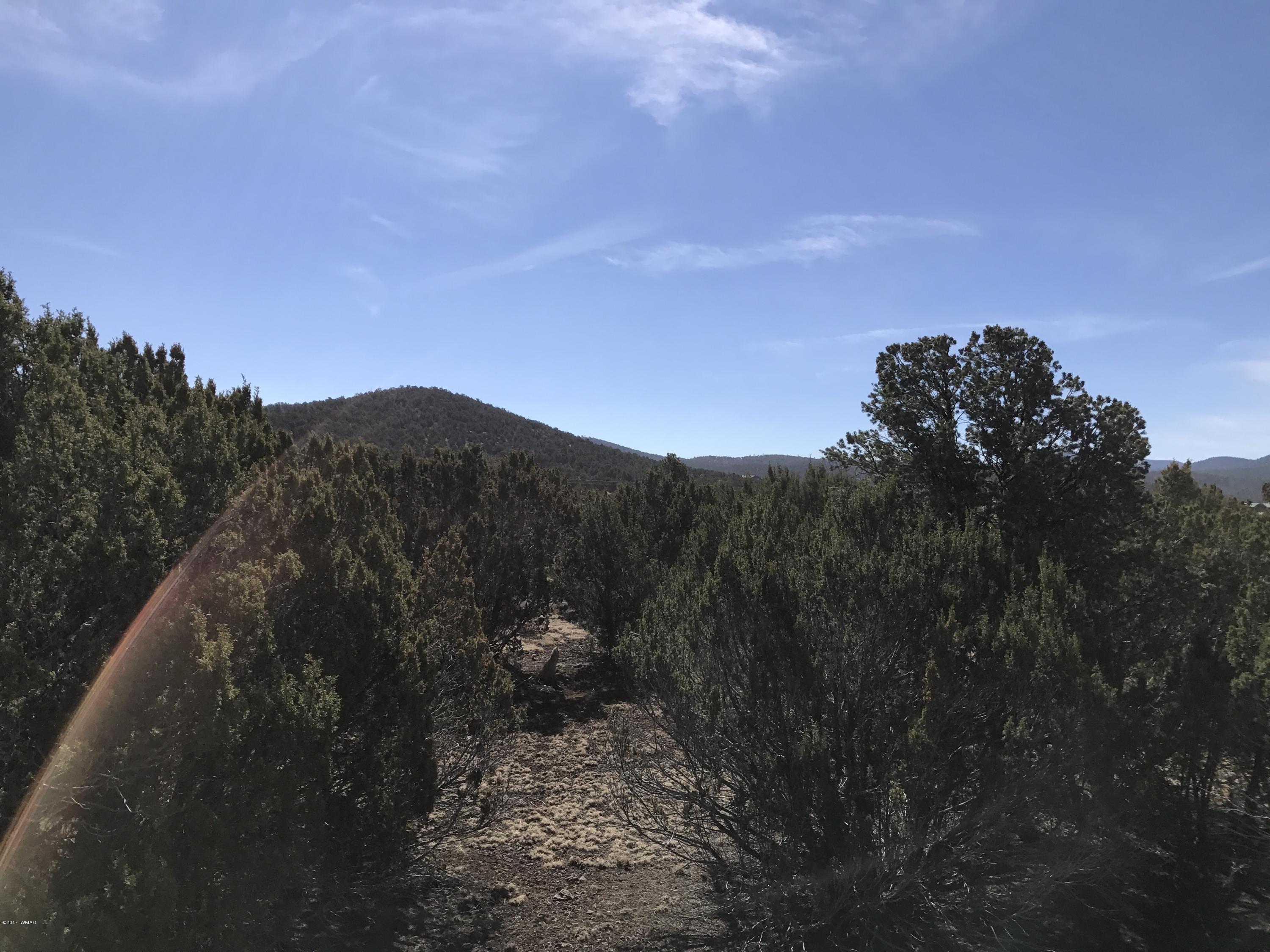 Lot 4 Elk Ridge Show Low, AZ 85901 - Photo 2 of 6