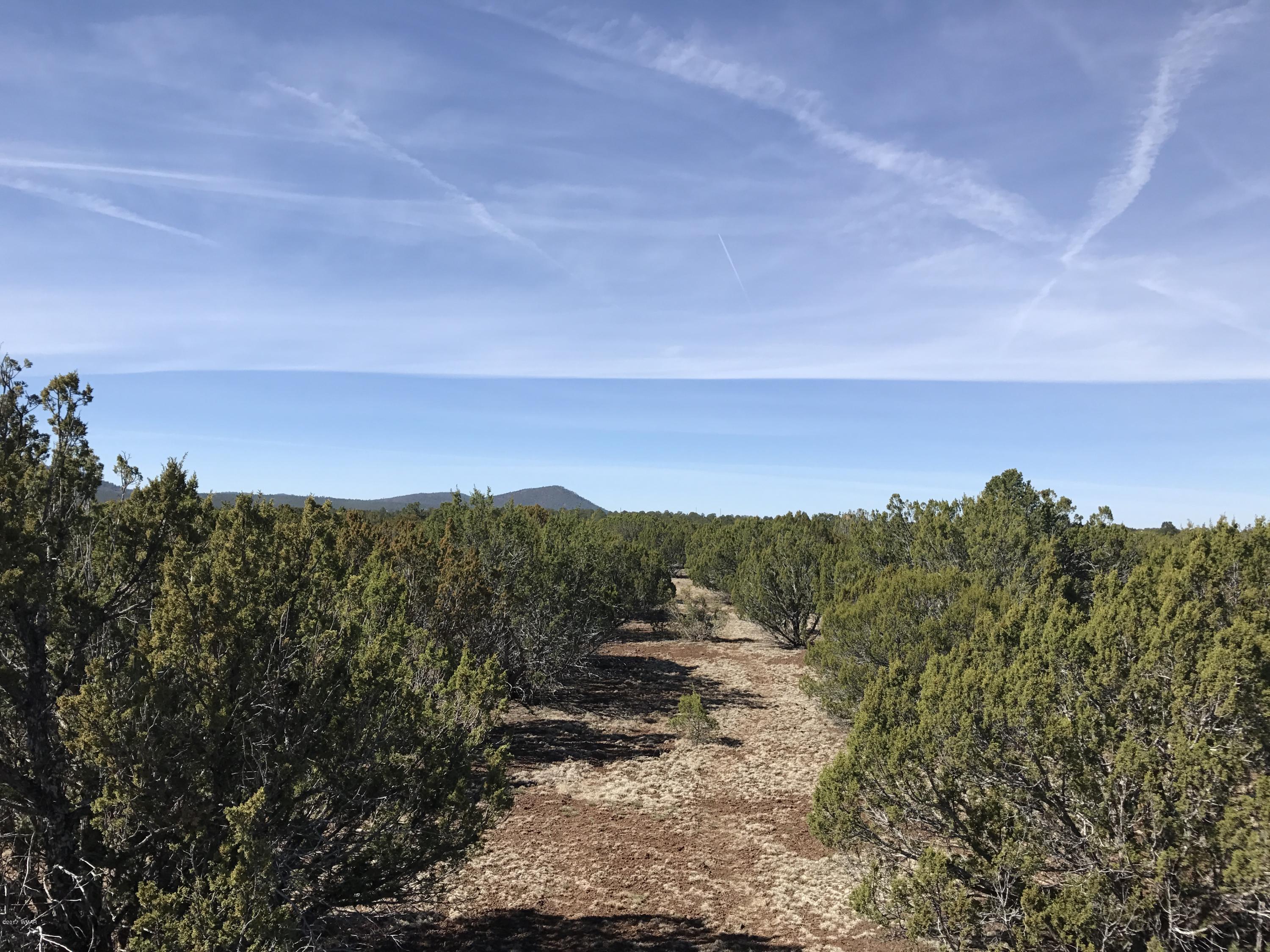 Lot 4 Elk Ridge Show Low, AZ 85901 - Photo 3 of 6