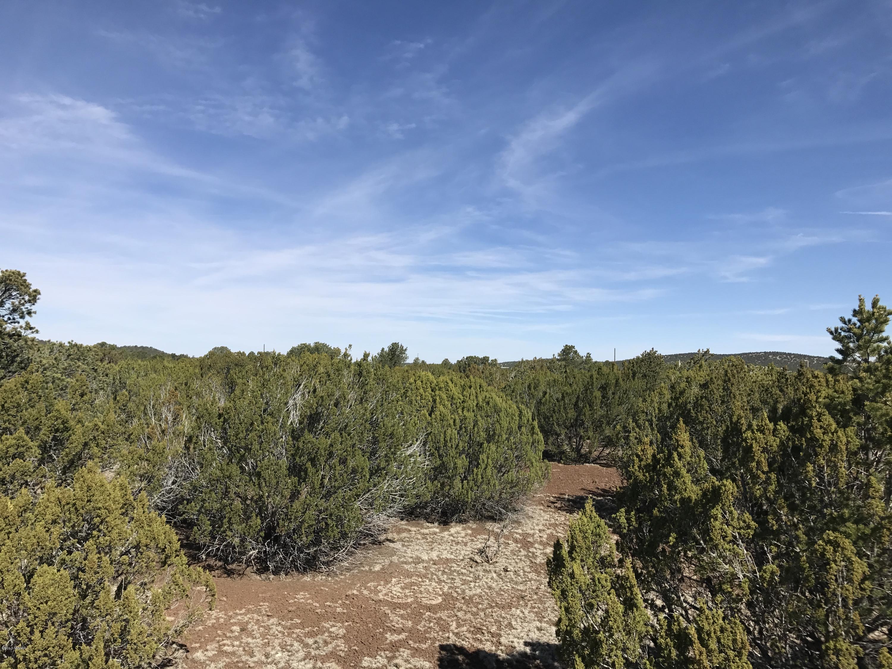 Lot 4 Elk Ridge Show Low, AZ 85901 - Photo 4 of 6