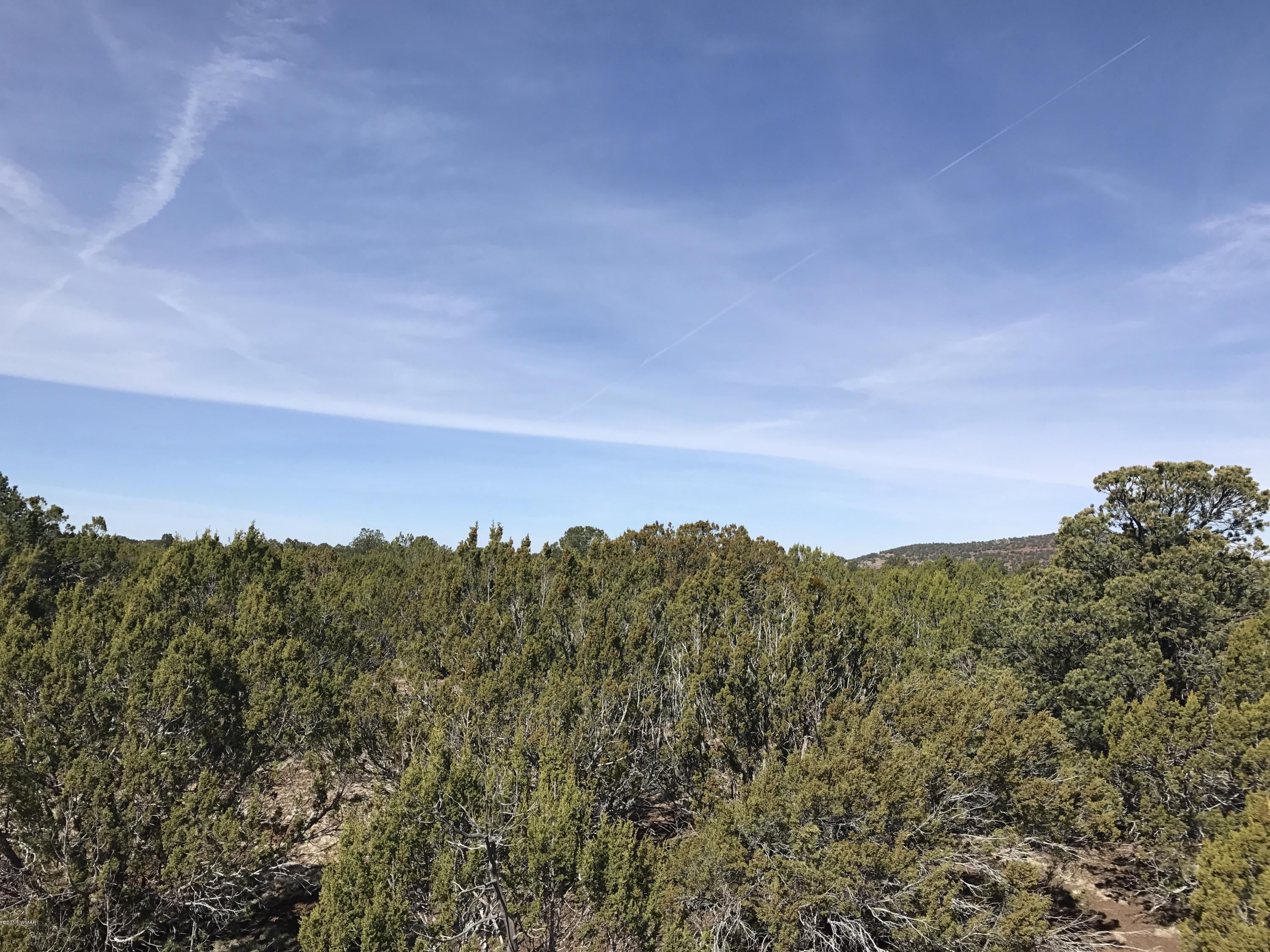 Lot 4 Elk Ridge Show Low, AZ 85901 - Photo 5 of 6