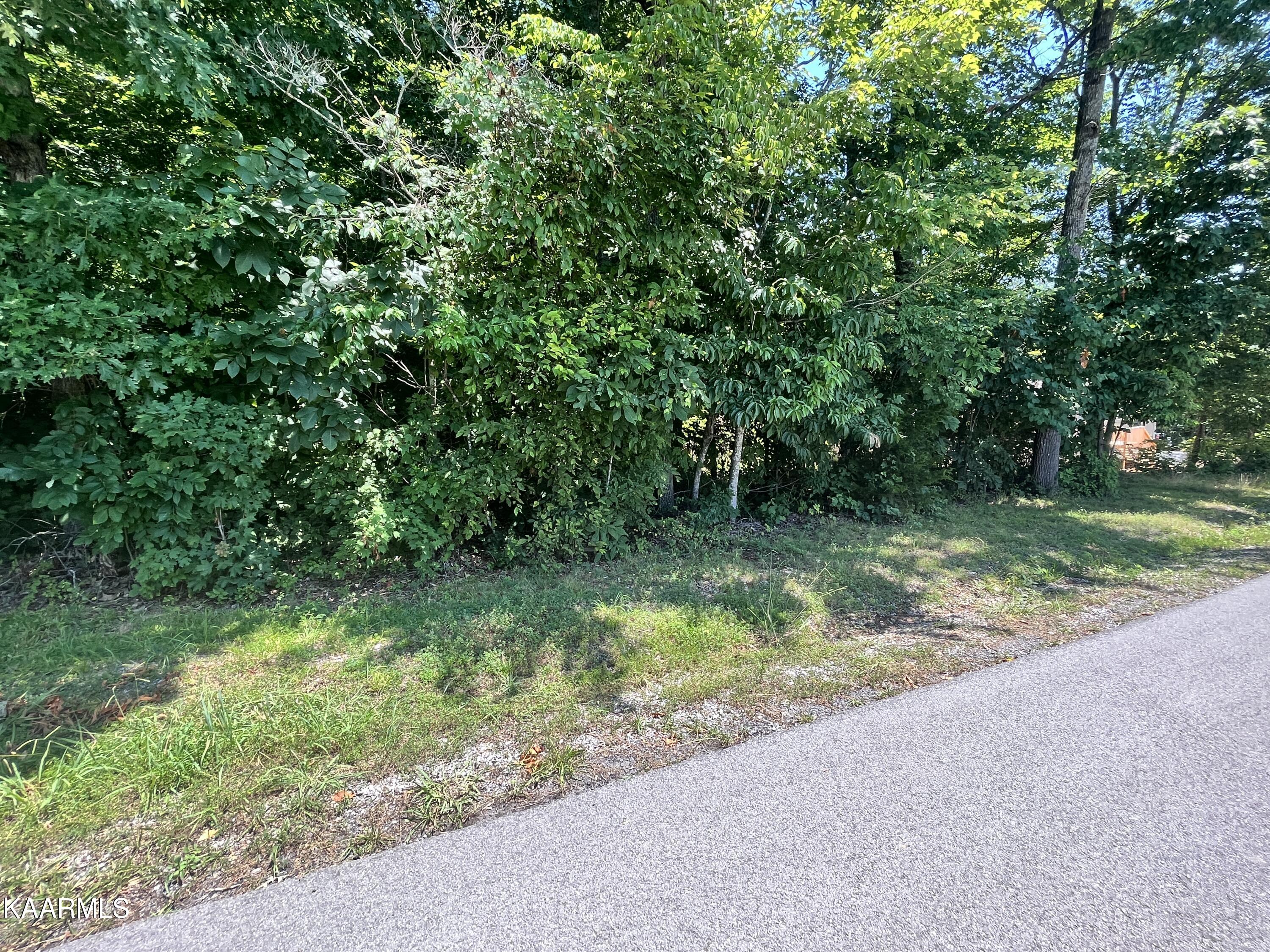 Joe Williams Road Rutledge, TN 37861 - Photo 3 of 10 7B6118E4-FEC0-4D48-AD80-3BC3E1C2A3BA