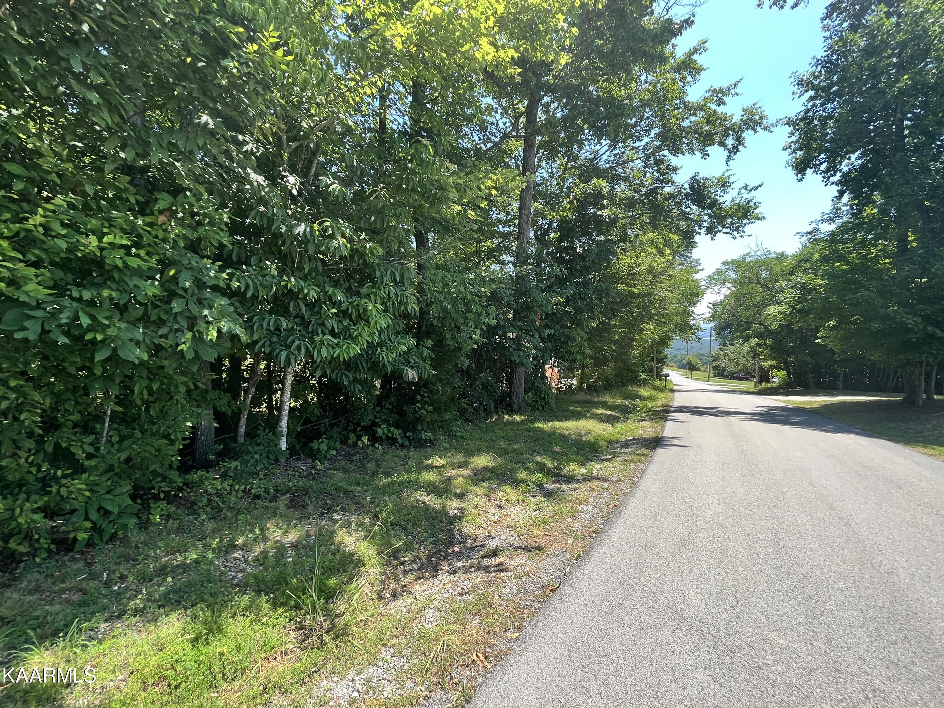 Joe Williams Road Rutledge, TN 37861 - Photo 8 of 10 E584202A-AC72-48C3-9306-6F660921F178