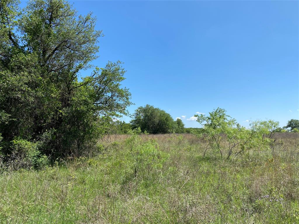 Tbd Miller Creek Lake Road Paradise, TX 76073 - Photo 11 of 19 a view of a field of grass and trees