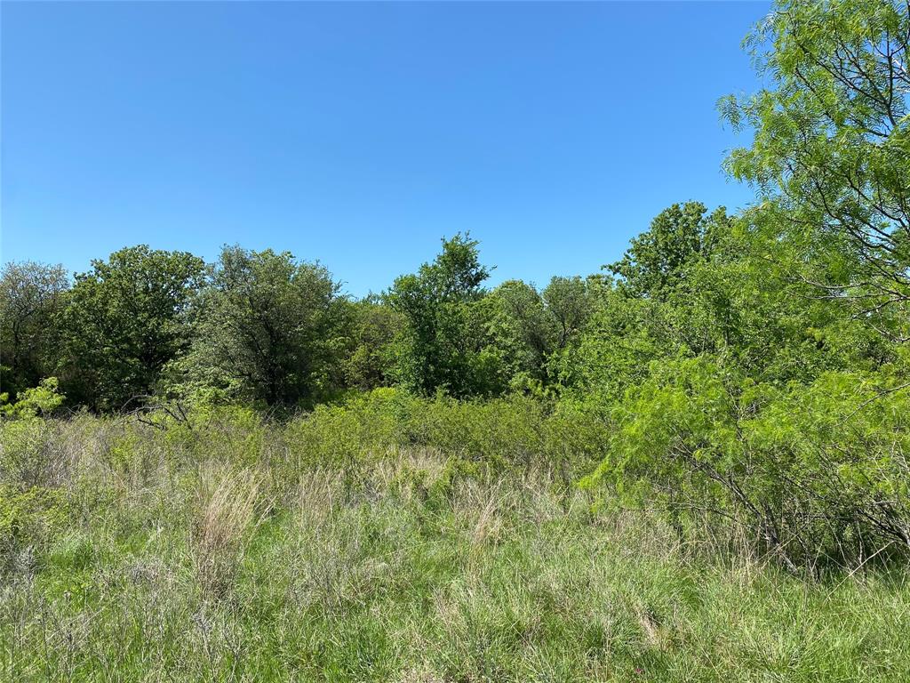 Tbd Miller Creek Lake Road Paradise, TX 76073 - Photo 12 of 19 a view of a lush green space