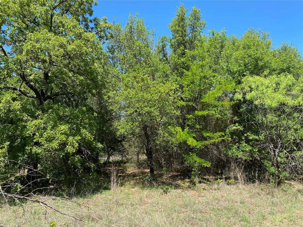 Tbd Miller Creek Lake Road Paradise, TX 76073 - Photo 13 of 19 a backyard of a house with lots of green space