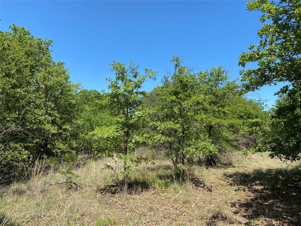 Tbd Miller Creek Lake Road Paradise, TX 76073 - Photo 14 of 19